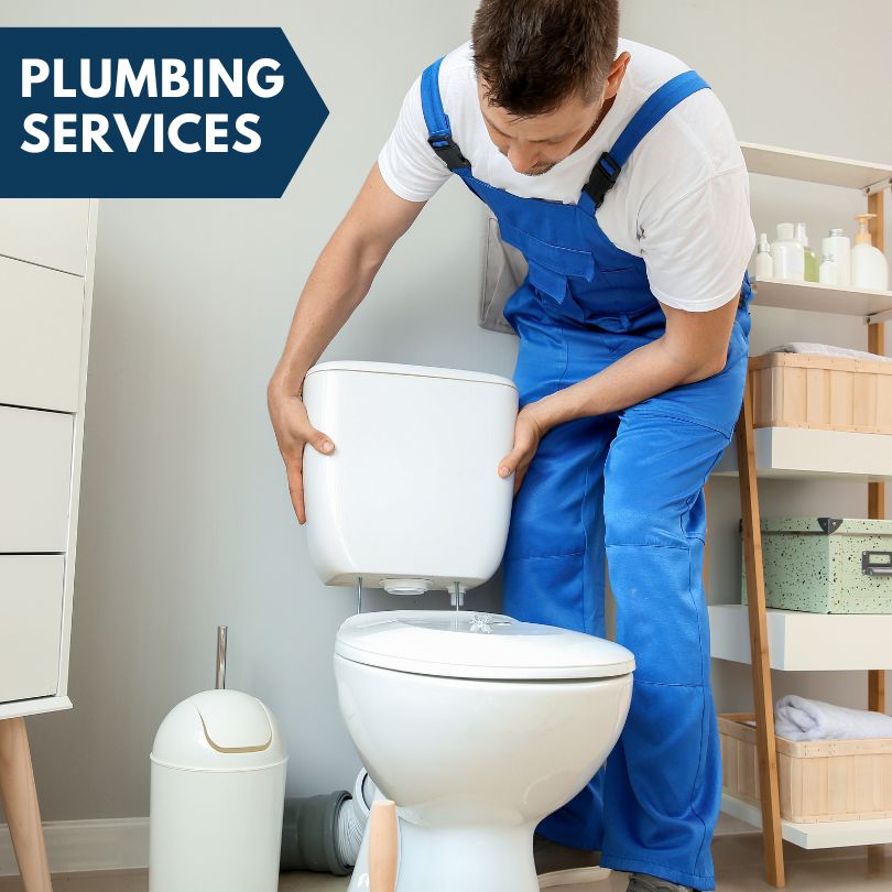 Plumbing Company in Gray Mountain, AZ